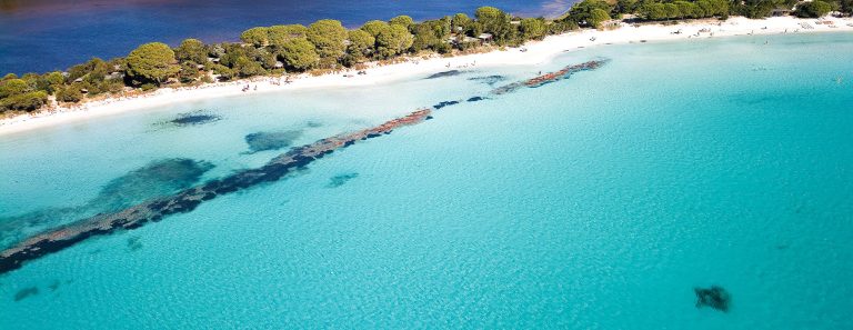 Les Hameaux de Santa Giulia, mini villa T2 à louer